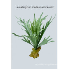 PVC Staghorn Fern Artificial Plant Bush for Home Decoration (50009)